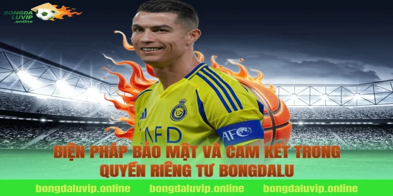 Biện pháp bảo mật và cam kết trong quyền riêng tư bongdalu
