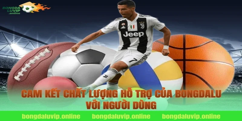 Cam Kết Chất Lượng Hỗ Trợ Của Bongdalu Với Người Dùng