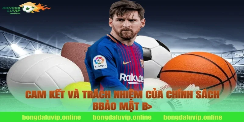 Cam kết và trách nhiệm của chính sách bbảo mật b>