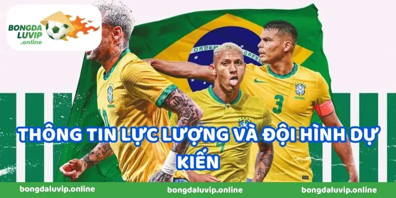 Thông tin lực lượng và đội hình dự kiến Brazil vs Maroc mới nhất